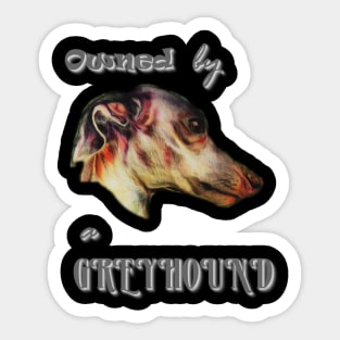 owned by a greyhound Sticker